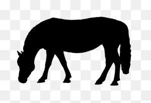 Horse Silhouette | Horse Silhouette, Horses, Horse Drawings