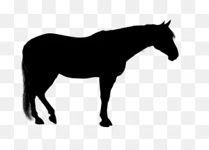 Onlinelabels Clip Art - Standing Horse Silhouette