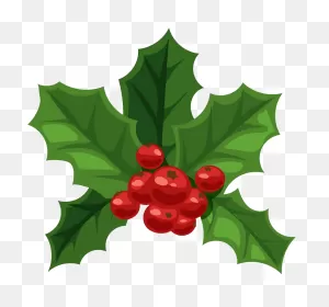 Christmas Holly Png Transparent - ClipartFlare