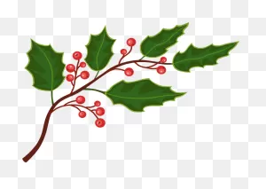 Holly Clipart. Free Download Transparent .png | ClipartFlare