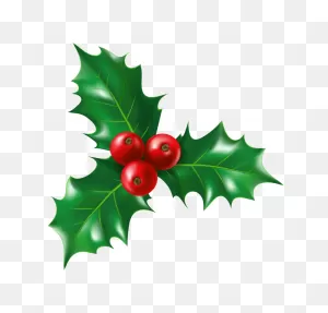 Isolated Holly Png Transparent - ClipartFlare