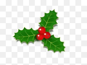 Leaf Aquifoliaceae Holly Leaf Clipart - Leaf Clipart Nature Clip Art
