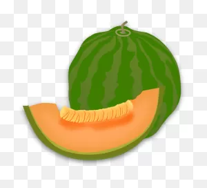Free Honeydew Cliparts, Download Free Honeydew Cliparts Png Images ClipartFlare.com 