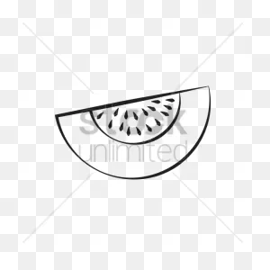 Honeydew Vector Image - 1468571 | Stockunlimited