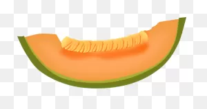 Honeydew - ClipartFlare