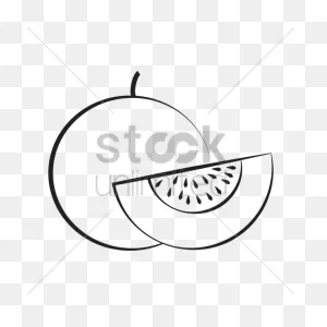 Honeydew Vector Image - 1469055 | Stockunlimited