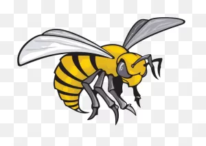 Alabama State Hornets | Alabama State University, Cartoon Clip Art ClipartFlare.com 
