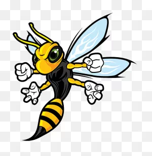 Hornet Mascot Png - Cartoon Hornet Clipart - Full Size Clipart ClipartFlare.com 