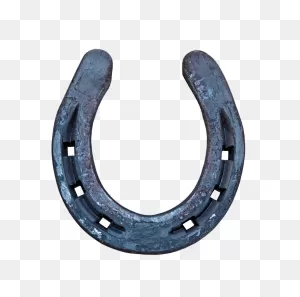 What Is The Horseshoe Meaning In Jewelry? | Jewelry Guide