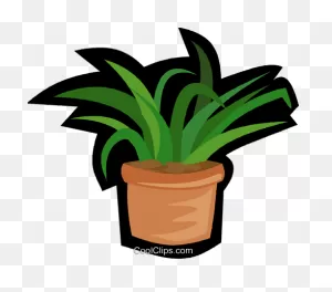 House Plant, Yucca Plant Royalty Free Vector Clip Art Illustration ClipartFlare.com 