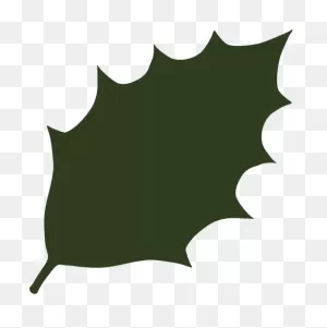 Download Holly Leaf Silhouette At Getdrawings - Dark Green Leaves ClipartFlare.com 