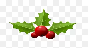 Holly Berries And Leaves Clipart. Free Download Transparent .png ClipartFlare.com 