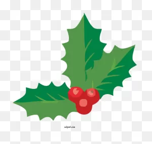 Holidays Holly Leaf Grape Leaves For Christmas - Christmas Clipart ClipartFlare.com 