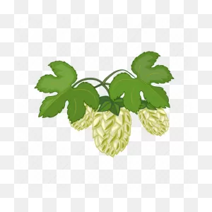 Brewing, Bump, Hops, Ingredient, Plant, Seeds Icon - Download On ClipartFlare.com 