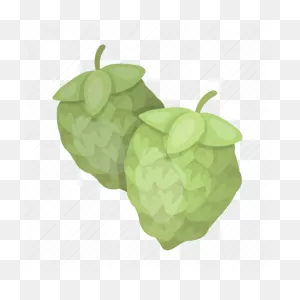 Beer, Brewing, Hops, Ingredient, Plant, Seeds Icon - Download On ClipartFlare.com 