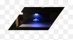 3D Hologram - Technology, Providing A Wow Effect!