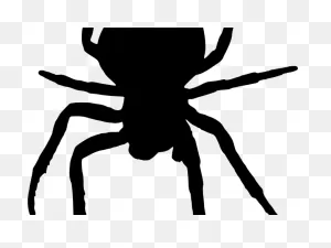 Horror Clipart Scary Spider - Spider Face Transparent Background ClipartFlare.com 
