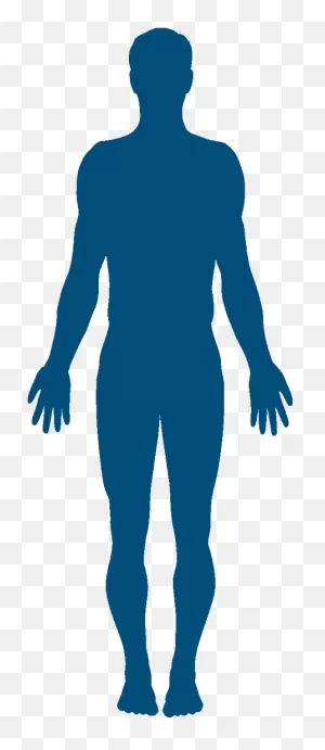 Human Body Silhouette Clipart - Full Size Clipart (#3354196 ClipartFlare.com 