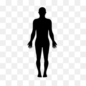 Standing Human Body Silhouette Free Vector Icons Designed By ClipartFlare.com 
