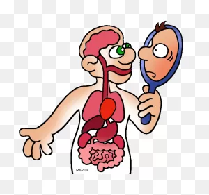 Human Body Clip Art By Phillip Martin, Body Parts