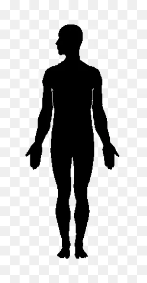Human Body Silhouette Clip Art - Silhouette Png Download - 624 ClipartFlare.com 