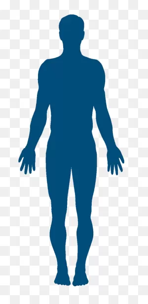 Vector Graphics Clip Art Silhouette Human Body Stock Photography ClipartFlare.com 