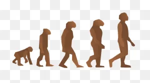 Free Photo Human Science Walking Man Evolution Charles Darwin ClipartFlare.com 
