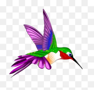 Beautiful Hummingbird Clipart Transparent - ClipartFlare