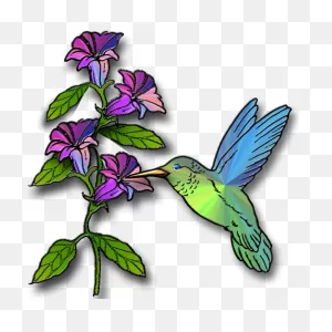 Download Hummingbird Png Image Hq Png Image | Freepngimg