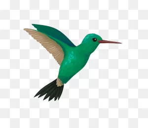 Flying Hummingbird Clipart Transparent - ClipartFlare