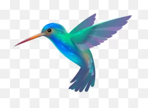 Hummingbird Png Transparent Clip Art Image | Hummingbird Art, Bird ClipartFlare.com 