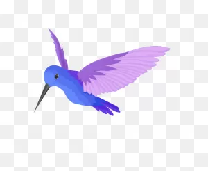 Purple Hummingbird Clipart Transparent - ClipartFlare