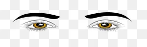Cartoon Human Eyes Png Clipart - Full Size Clipart (#5271300 ClipartFlare.com 