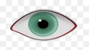 Eye Pupil Iris - Free Vector Graphic On ClipartFlare