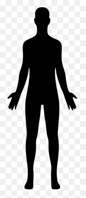 Human Figure Silhouette Png : Download For Free In Png, PNG-WebP, Pdf ClipartFlare.com 
