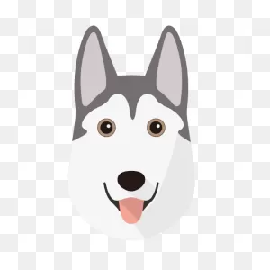 Create A Tailor-Made Shop Just For Your Siberian Husky