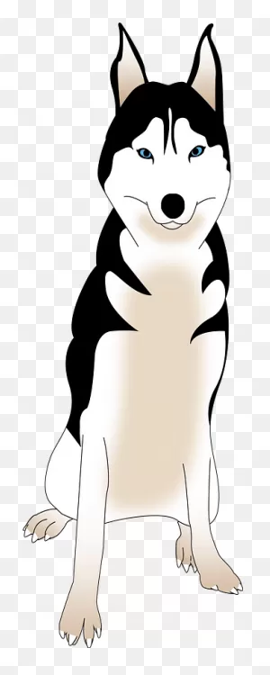 Husky Clipart. Free Download Transparent .png | ClipartFlare