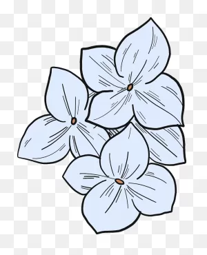 Hydrangea Flowers Clipart. Free Download Transparent .png | ClipartFlare
