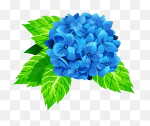 Hydrangea Flower Clipart. Free Download Transparent .png | ClipartFlare