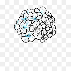 How To Draw A Hydrangea Flower - Really Easy Drawing Tutorial