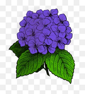 Purple Hydrangea Clip Art Image - Clipsafari