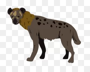 Hyena Clipart. Free Download Transparent .png | ClipartFlare