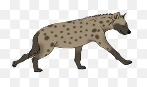 Hyena Clipart Png Transparent Png - Full Size Clipart (#664803 ClipartFlare.com 