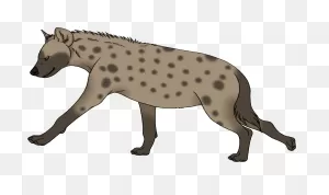 Hyena Png - Spotted Hyena Clipart - Large Size Png Image - ClipartFlare