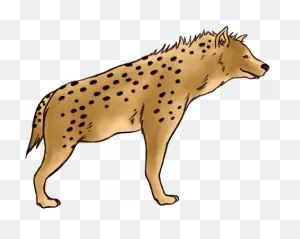 Hyena Png - Hyena Clipart - (463X370) Png Clipart Download