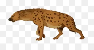 Spotted Hyena Clipart - Full Size Clipart (#4191900) - ClipartFlare