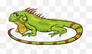 Clip Art Iguana Clipart - Iguana Vector - Png Download - Large ClipartFlare.com 