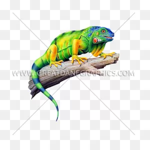 Colorful Iguana | Production Ready Artwork For T-Shirt Printing