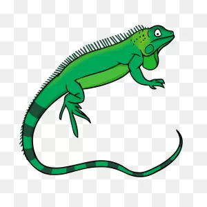 Free Iguana Cliparts, Download Free Iguana Cliparts Png Images ClipartFlare.com 