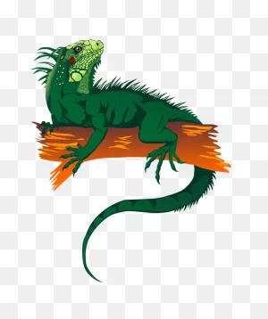 Green Iguana As A Colorful Drawing Free Image Download